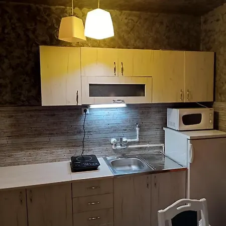 Апартаменты 4+1 Kursumlijska Banja